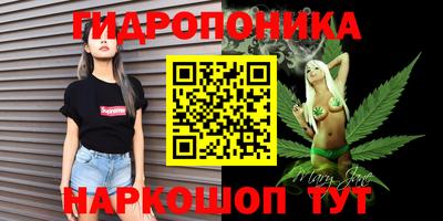 индика Лесосибирск