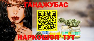 индика Лесосибирск