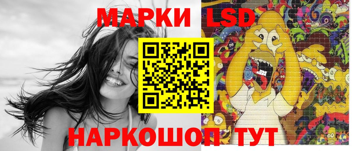 Галлюциногенные грибы Десногорск