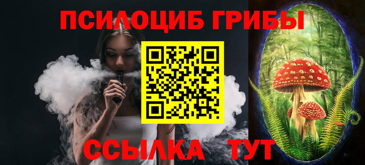 Десногорск  Псилоцибиновые грибы мицелий  Вход с VPN 