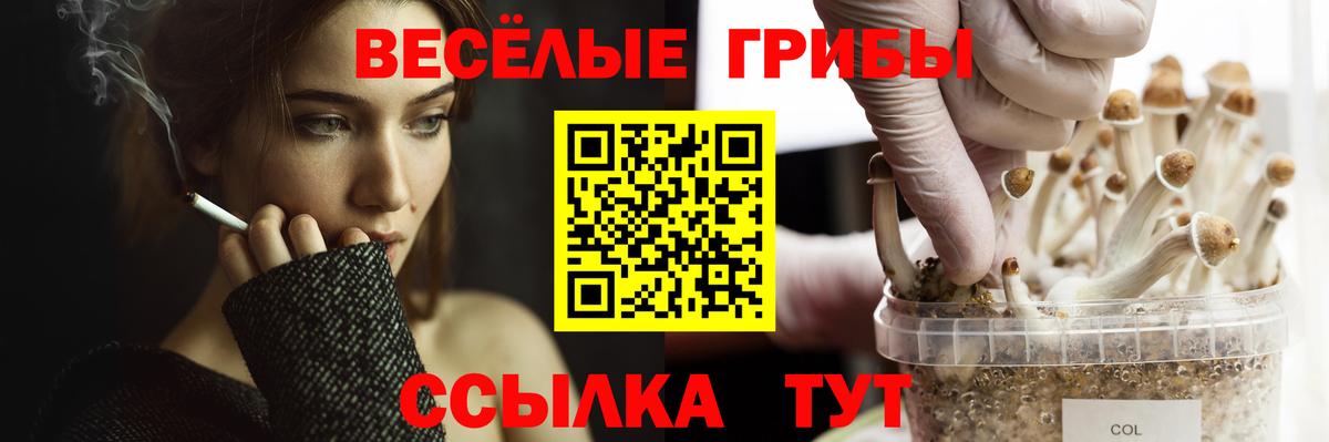 Галлюциногенные грибы Magic Shrooms Десногорск